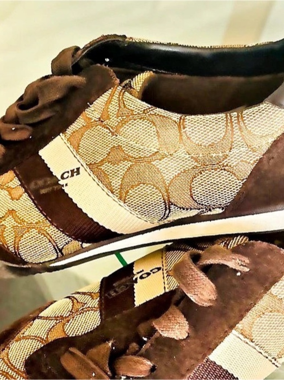 Coach Brown & Tan Logo Sneakers